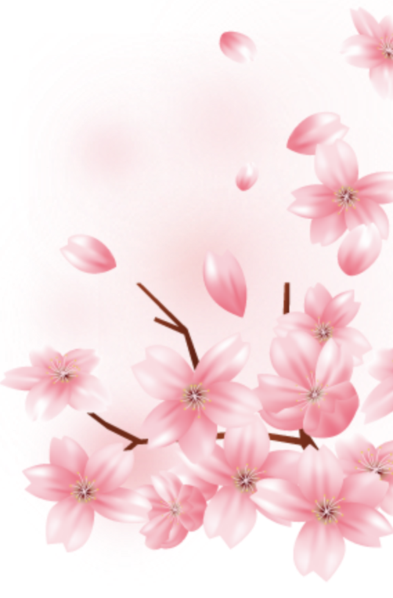 さくら