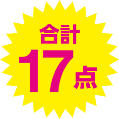 合計17点
