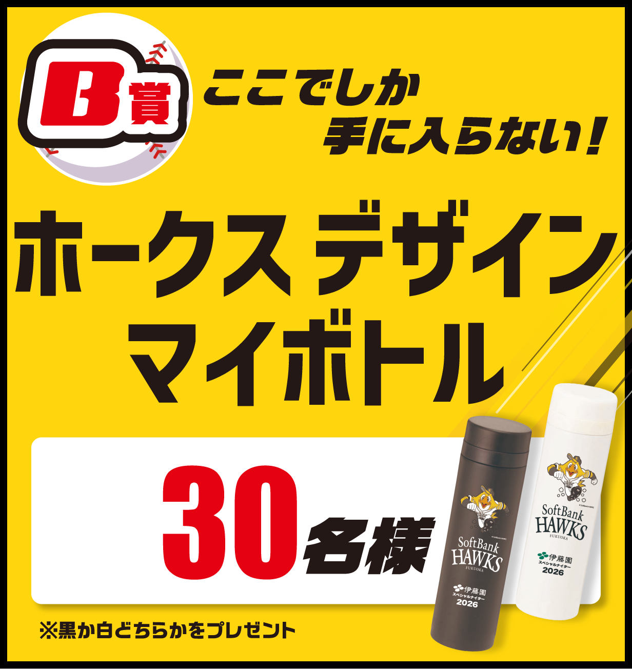 B賞　ふたりでなかよく応援　『2枚1組』内野A席　観戦チケット　[抽選]25組50名様
