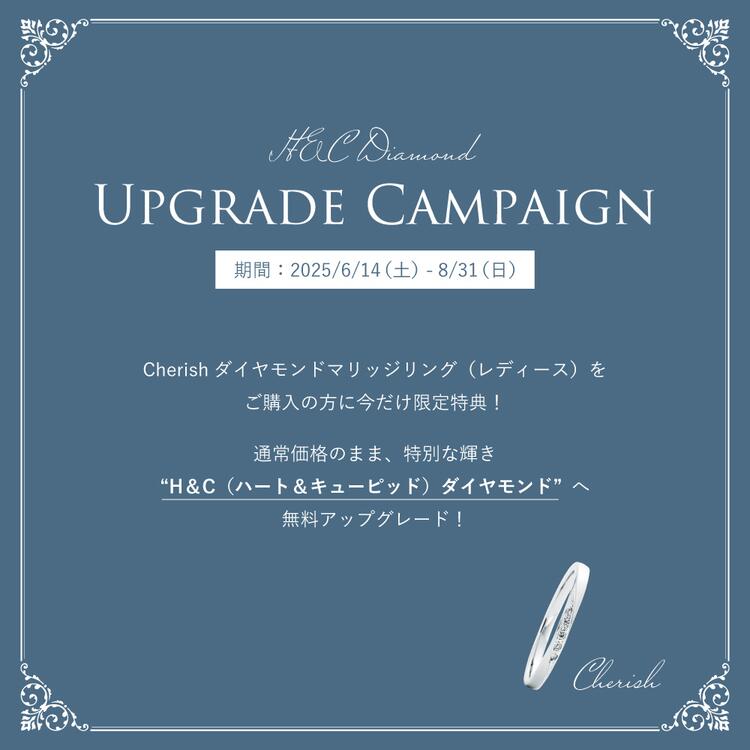 Tisキャンペーン