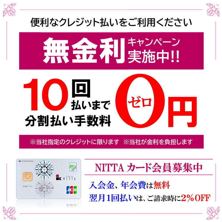ニッタ　クレジット10回無金利キャンペーンの画像