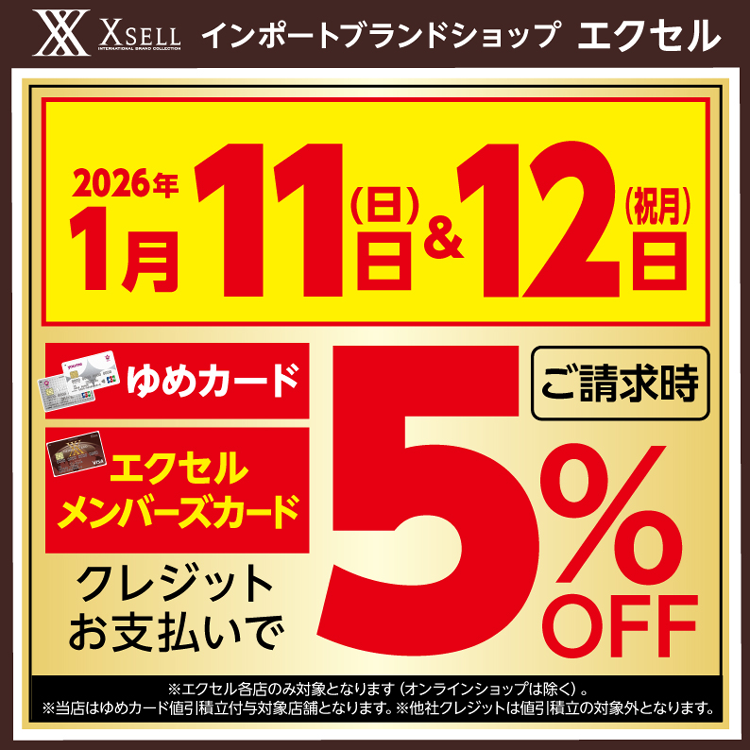 エクセル　1月11日(日曜日)･1月12日(祝日･月曜日)は2日間連続請求時5％OFFの画像